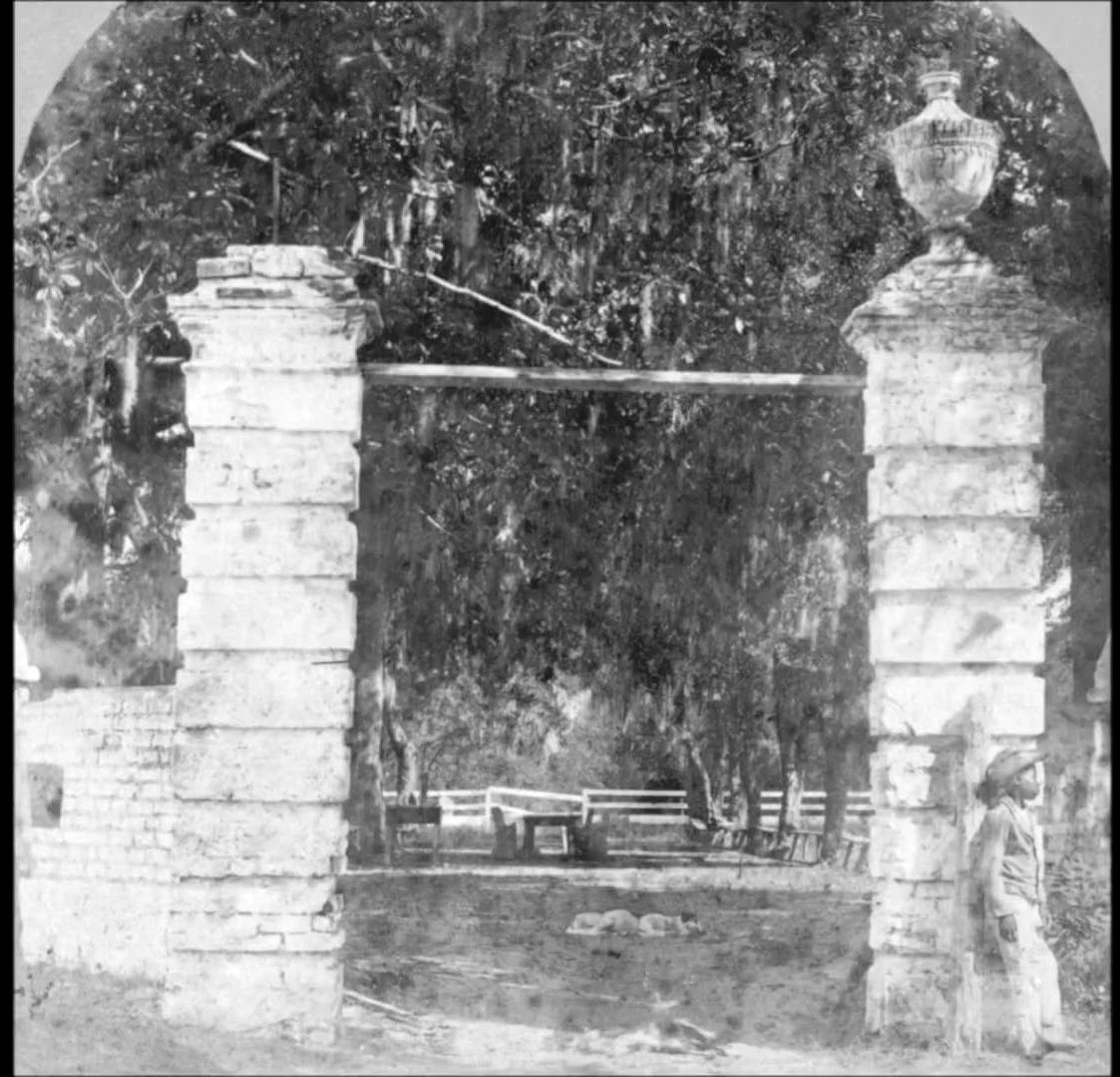 Rare Photos of Slaves in South Carolina From the 1850s1860s_07